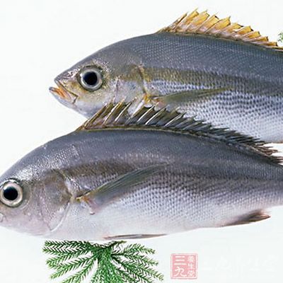 吃鱼种类尽量多些 吃鱼种类尽量多些