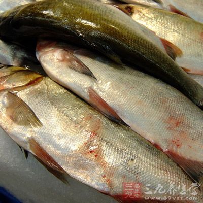 性味甘、平,适宜体质衰弱、虚劳羸瘦、脾胃气虚、饮食不香,营养不良之人食用 性味甘、平,适宜体质衰弱、虚劳羸瘦、脾胃气虚、饮食不香,营养不良之人食用