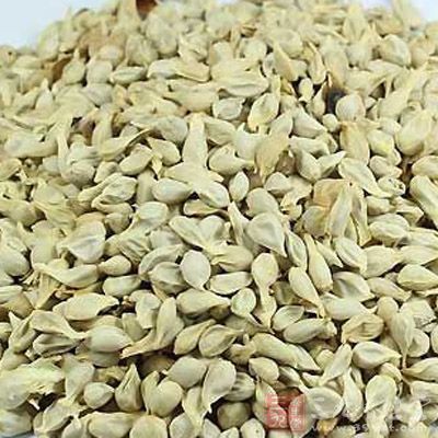 橘子的果核(种子)，性微温味苦平