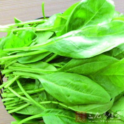 菠菜中含有女性比较容易缺乏的矿物质——镁 菠菜中含有女性比较容易缺乏的矿物质——镁