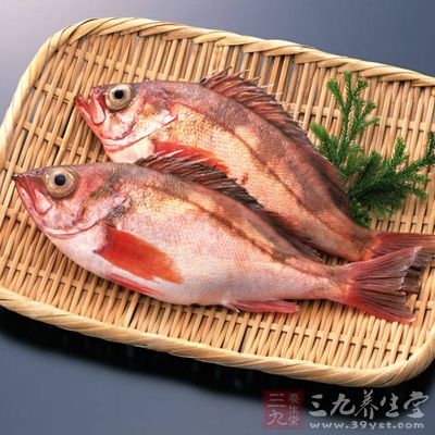 深海鱼呵护眼睛 12042902033824475