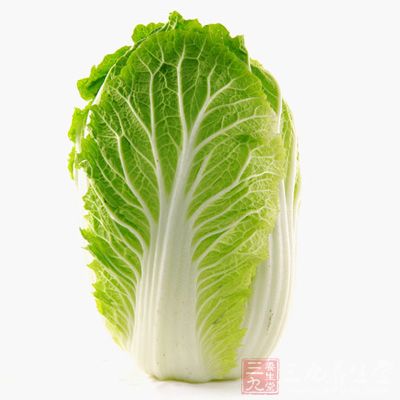 大白菜又名结球白菜、黄牙白菜 大白菜又名结球白菜、黄牙白菜