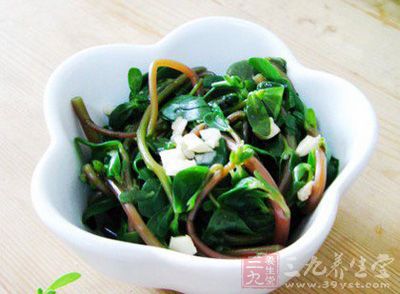 真正名副其实的长寿菜——马齿苋 1_130531103548_1