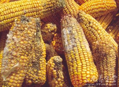 常见的肝癌的病因，存在于霉变的玉米，花生等食品中