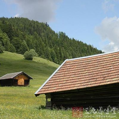 快节奏的生活让不少人每时每刻都在“赶时间”