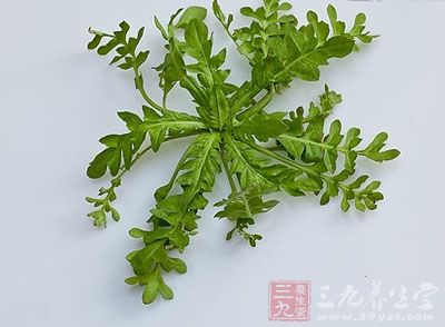 如泥螺、荠菜、油菜、菠菜、莴苣、马兰头、荞麦及无花果等 如泥螺、荠菜、油菜、菠菜、莴苣、马兰头、荞麦及无花果等