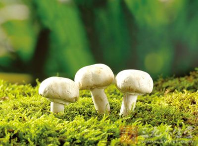 蘑菇营养丰富，是高蛋白、低脂肪