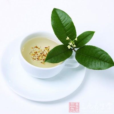 鲜薄荷叶10余片,甘草5g,绿茶5g 鲜薄荷叶10余片,甘草5g,绿茶5g