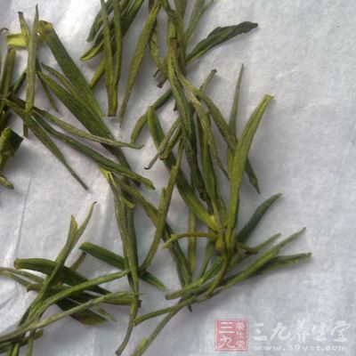 白茶能夠消除疲勞、養(yǎng)心、提神