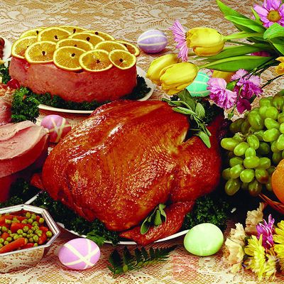 补充优质蛋白质 补充优质蛋白质