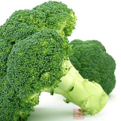 十字花科芸苔属甘蓝种中以绿色花球为产品的一个变种