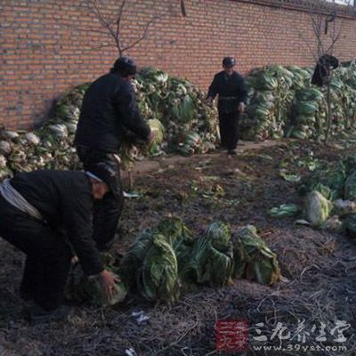 松松地用塑料袋盖住,这样少能保鲜一周 松松地用塑料袋盖住,这样少能保鲜一周