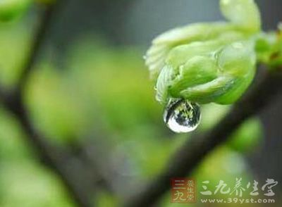 雨水时节吃什么好