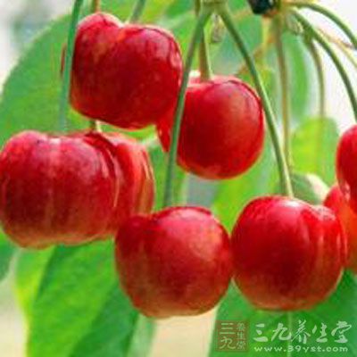 樱桃果实肉厚,味美多汁 樱桃果实肉厚,味美多汁