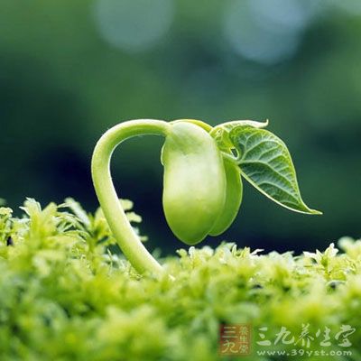 这是因为迎春活动祭拜的句芒神 这是因为迎春活动祭拜的句芒神