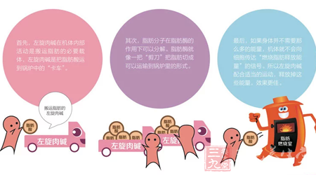 脂肪分子在脂肪酶的作用下可以分解 8