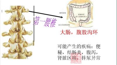 颈椎的锻炼应该慎重,要避免无目的的快速旋转或摇摆 颈椎的锻炼应该慎重,要避免无目的的快速旋转或摇摆