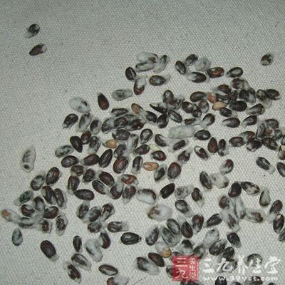 从棉花籽中提取的棉酚是有效的杀精药物,目前专家们正利用棉酚作为男性避孕药 从棉花籽中提取的棉酚是有效的杀精药物,目前专家们正利用棉酚作为男性避孕药