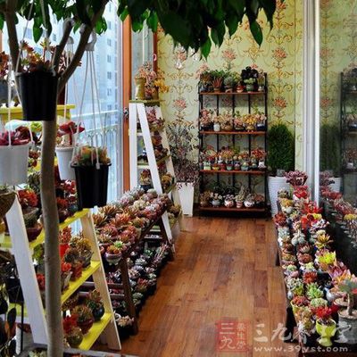 如果室内摆放花卉过多,会减少夜间室内氧气的浓度,影响夜晚睡眠的质量 如果室内摆放花卉过多,会减少夜间室内氧气的浓度,影响夜晚睡眠的质量