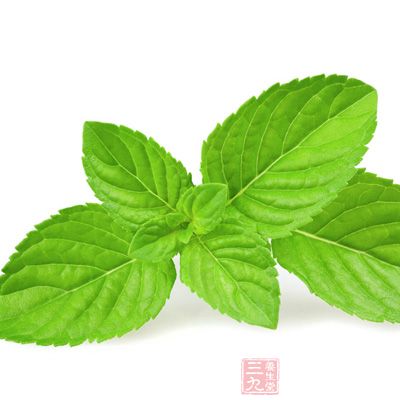 薄荷叶里含有单帖烯类化合物,可经由血液循环到达肺部,在呼吸时感觉气味清新 薄荷叶里含有单帖烯类化合物,可经由血液循环到达肺部,在呼吸时感觉气味清新
