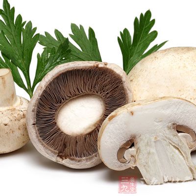 蘑菇自古被列为上品,高蛋白、低脂肪,同时富含纤维、植物多糖等营养成分 蘑菇自古被列为上品,高蛋白、低脂肪,同时富含纤维、植物多糖等营养成分