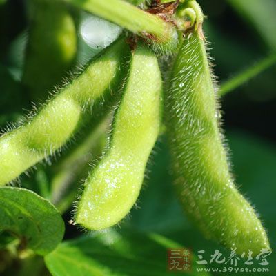 大豆补充雌激素