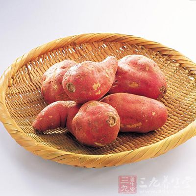 不宜吃生红薯 不宜吃生红薯