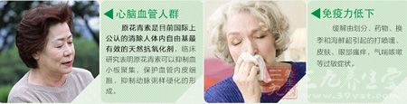 心脑血管人群 心脑血管人群