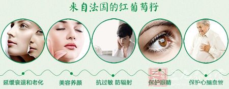 来自法国的红葡萄籽