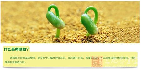 什么是卵磷脂 什么是卵磷脂