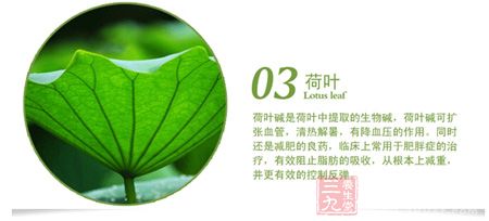 荷叶碱是荷叶中提取的生物碱