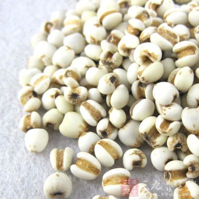 薏仁降胆固醇效果不输燕麦。它属于水溶性纤维,可加速肝脏排出胆固醇 薏仁降胆固醇效果不输燕麦。它属于水溶性纤维,可加速肝脏排出胆固醇