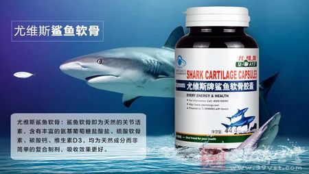 尤维斯鲨鱼软骨 尤维斯鲨鱼软骨