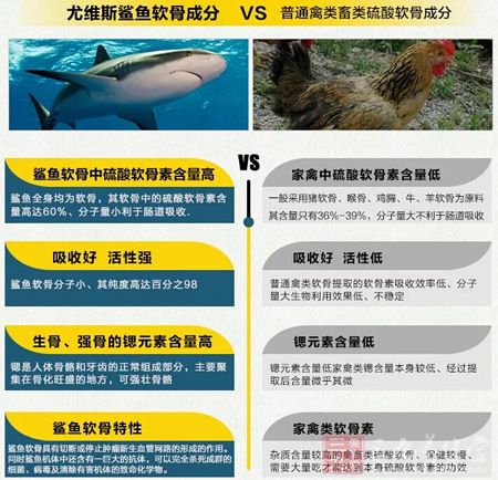 尤维斯鲨鱼软骨VS普通硫酸软骨 尤维斯鲨鱼软骨VS普通硫酸软骨