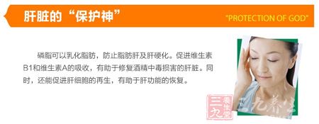 肝脏的“保护神” 肝脏的“保护神”