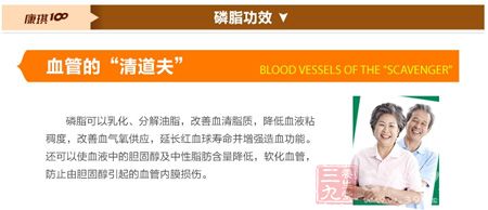 血管的“清道夫” 血管的“清道夫”