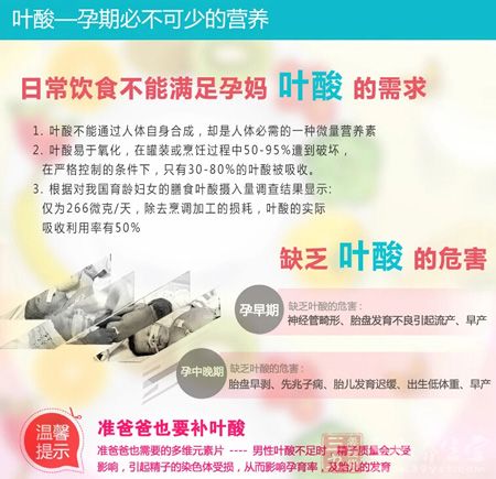 叶酸——孕期必不可少的营养 叶酸——孕期必不可少的营养