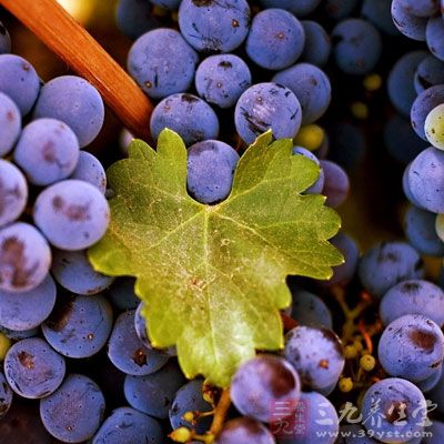 葡萄含有丰富的钙，磷和铁