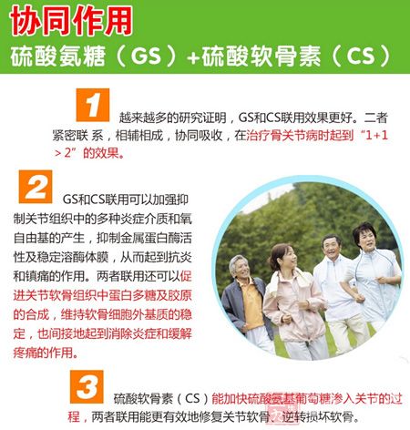 硫酸氨糖(GS)+硫酸软骨素(CS)协同作用