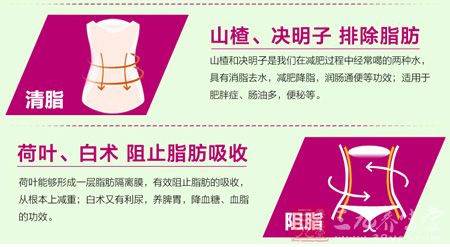 荷叶、白术组织脂肪吸收 荷叶、白术组织脂肪吸收