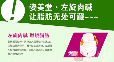 姿美堂左旋肉碱让脂肪无处可藏 姿美堂左旋肉碱让脂肪无处可藏