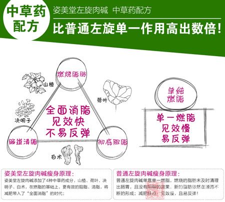姿美堂左旋肉碱中草药配方比普通左旋单一作用高出数倍 姿美堂左旋肉碱中草药配方比普通左旋单一作用高出数倍
