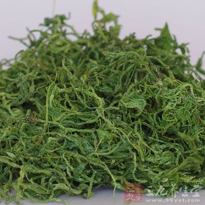 绞股蓝又名小苦药、七叶胆、甘茶曼、小母猪油、公罗锅底 绞股蓝又名小苦药、七叶胆、甘茶曼、小母猪油、公罗锅底
