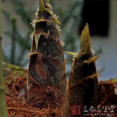 竹笋竹笋味甘、性微寒，归胃、肺经