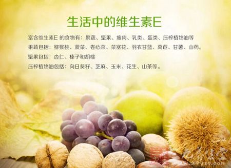 生活中的维生素E 生活中的维生素E