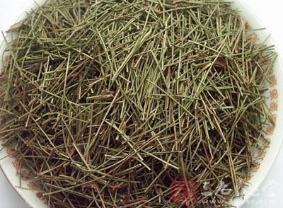 松针茶的功效与作用 松针茶的功效与作用