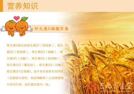 什么是B族维生素 什么是B族维生素