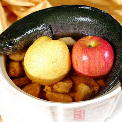 黑鱼-- 补肝益肾 黑鱼-- 补肝益肾