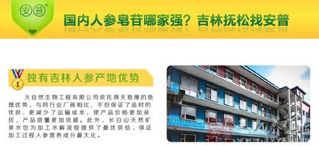 独有吉林人参产地优势 独有吉林人参产地优势