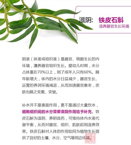 滋阴：铁皮石斛，滋养器官生长环境